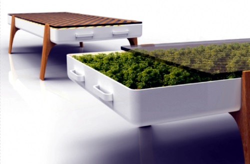 Houseplants furniture in hydroponics