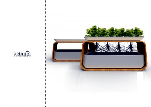 Houseplants furniture in hydroponics