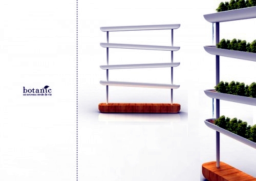 Houseplants furniture in hydroponics
