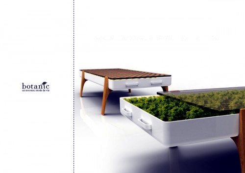 Houseplants furniture in hydroponics
