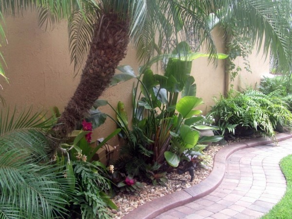 Create tropical mood with the right palm in the garden