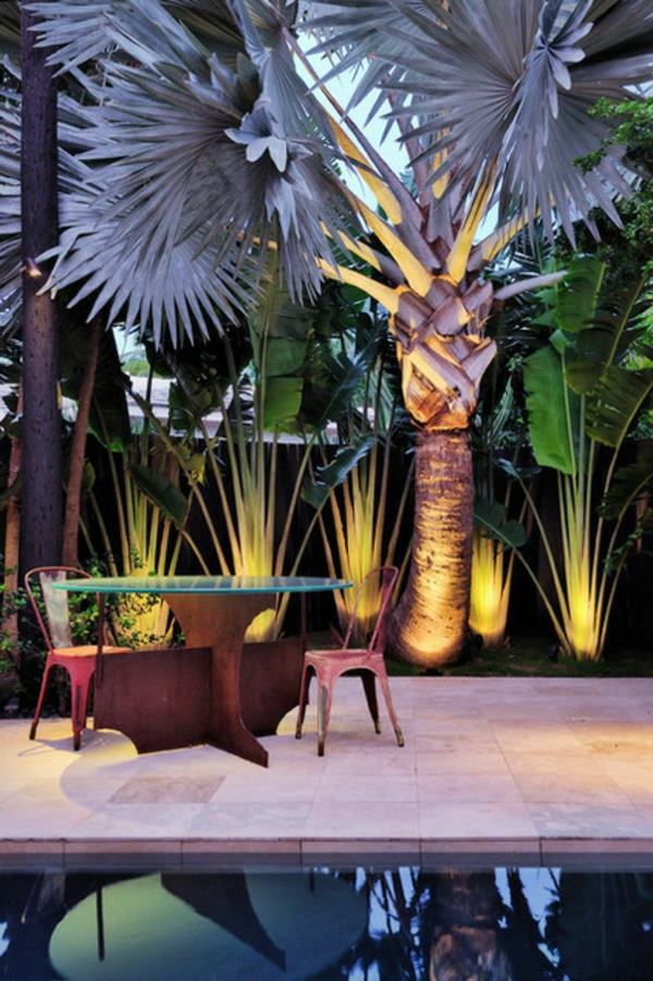 Create tropical mood with the right palm in the garden
