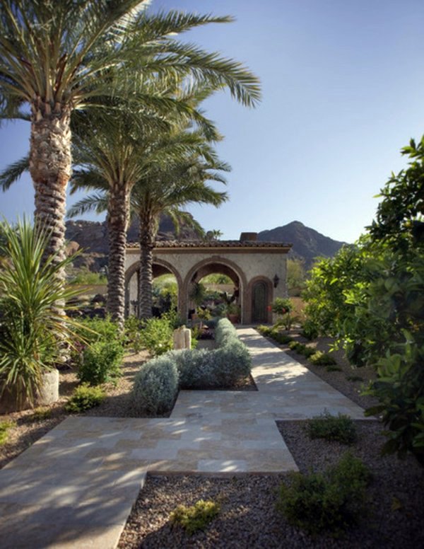 Create tropical mood with the right palm in the garden