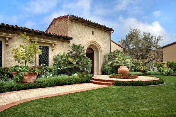 Create tropical mood with the right palm in the garden