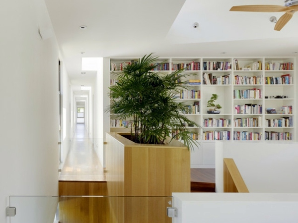 Create tropical mood with the right palm in the garden