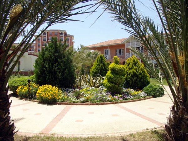 Create tropical mood with the right palm in the garden
