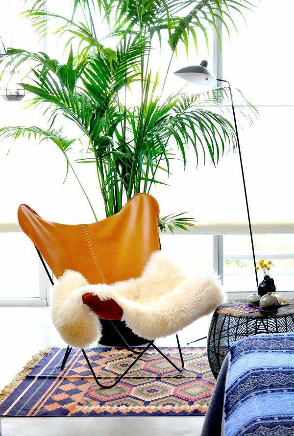 What indoor plants need little light? What indoor plants need little light?