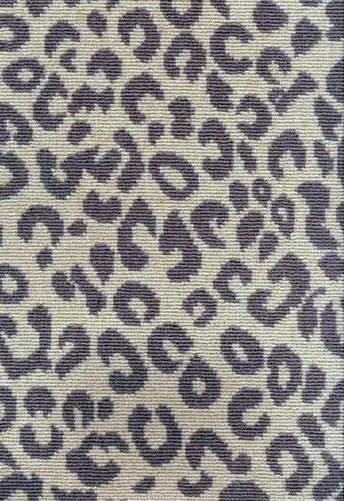 Leopard pattern on which to pounce