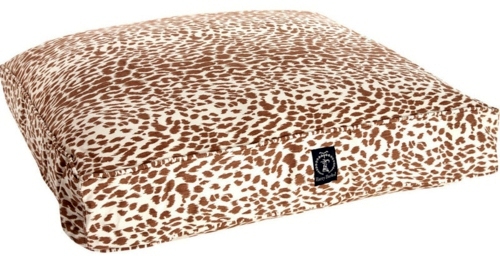 Leopard pattern on which to pounce