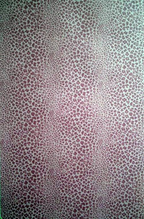 Leopard pattern on which to pounce