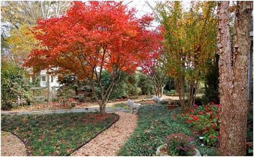 Cool Landscaping Tips - Care for landscaping before winter Cool Landscaping Tips - Care for landscaping before winter