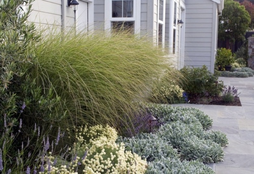 Beautiful garden design and landscaping - Make by great combinations the most of your garden!