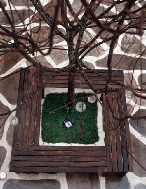 Garden design ideas - 12 great projects for garden paths