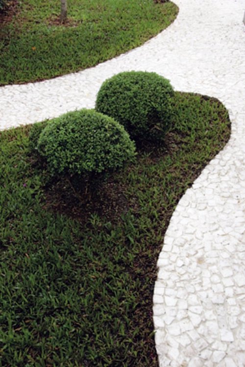Garden design ideas - 12 great projects for garden paths