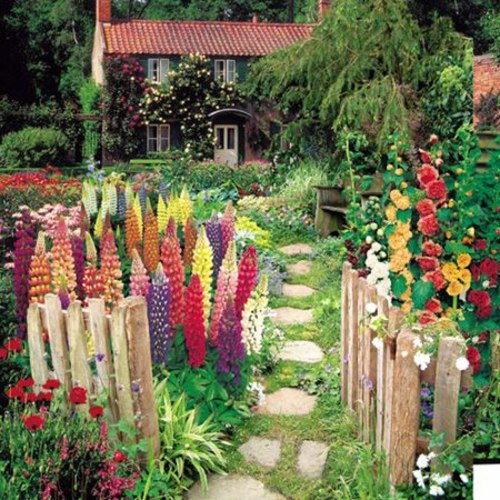 70 fabulous images for front yard design