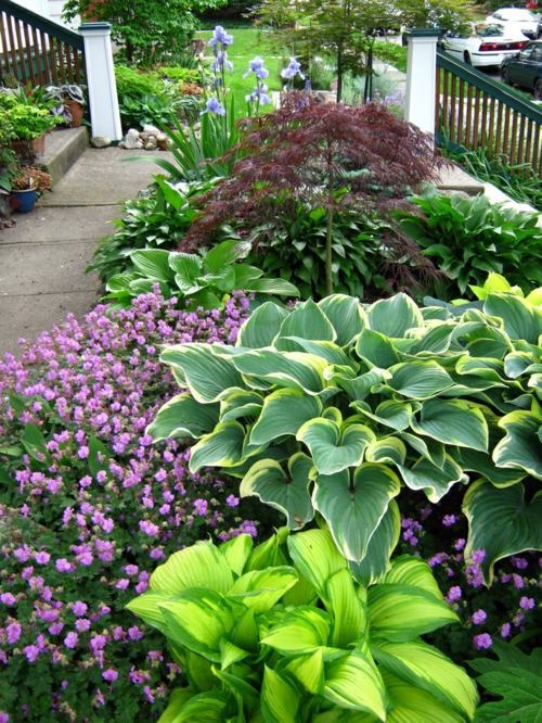 70 fabulous images for front yard design