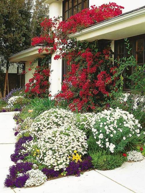 70 fabulous images for front yard design
