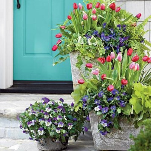70 fabulous images for front yard design