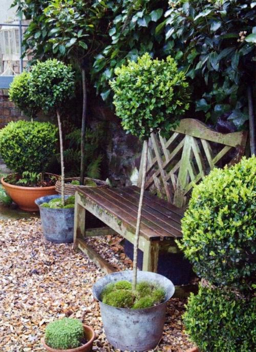 70 fabulous images for front yard design