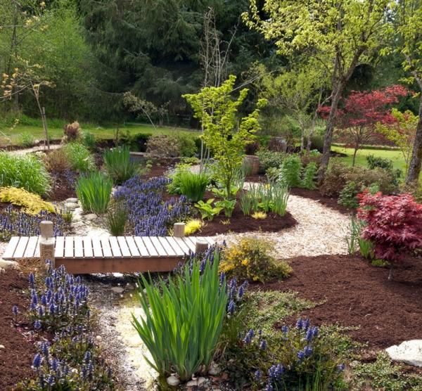 Garden plants that are easy and effective - the creeping Günsel