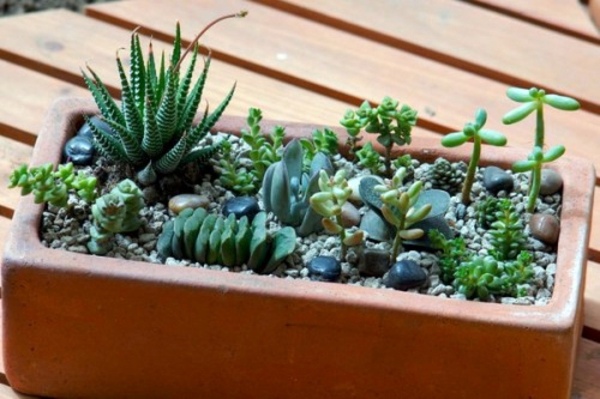 35 wonderful decoration ideas for the garden with succulents