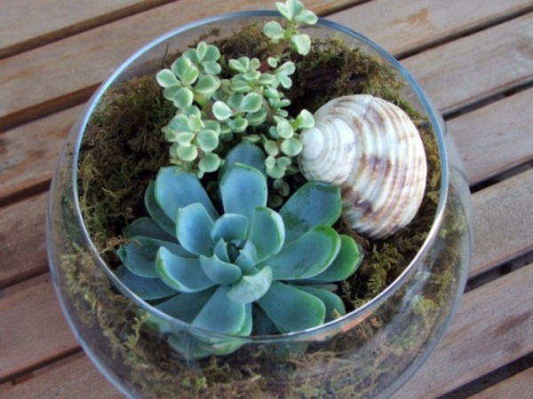 35 wonderful decoration ideas for the garden with succulents