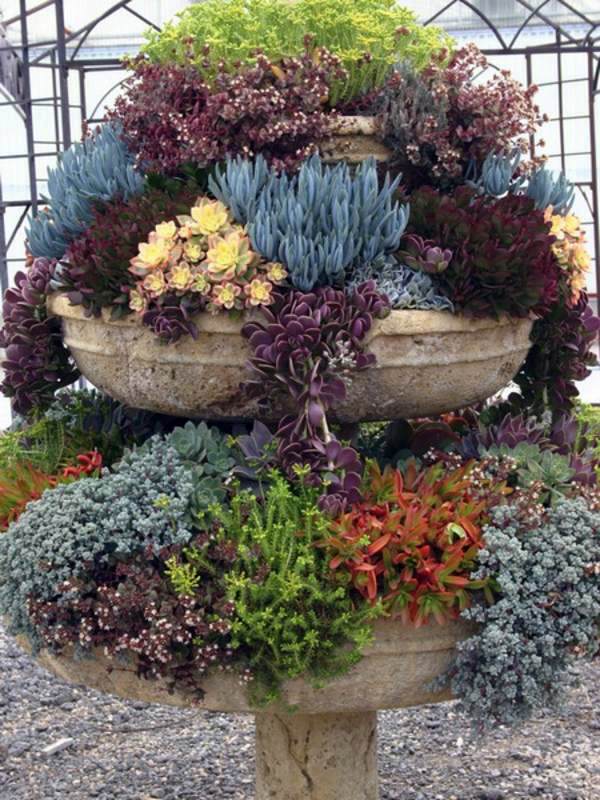 35 wonderful decoration ideas for the garden with succulents