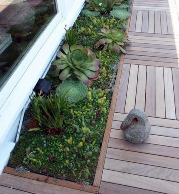 35 wonderful decoration ideas for the garden with succulents 35 wonderful decoration ideas for the garden with succulents