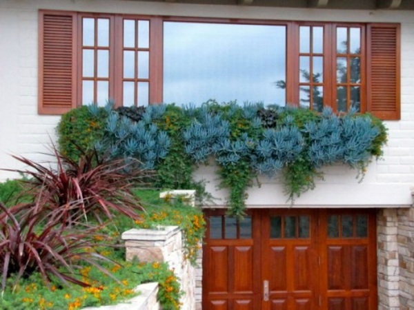 35 wonderful decoration ideas for the garden with succulents 35 wonderful decoration ideas for the garden with succulents