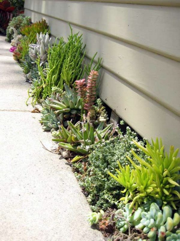 35 wonderful decoration ideas for the garden with succulents 35 wonderful decoration ideas for the garden with succulents