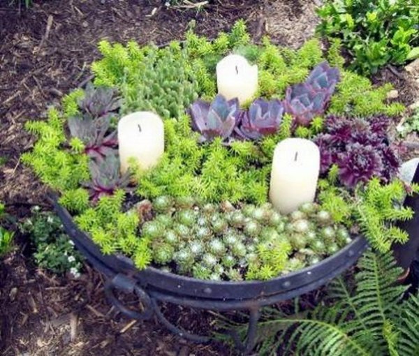 35 wonderful decoration ideas for the garden with succulents 35 wonderful decoration ideas for the garden with succulents
