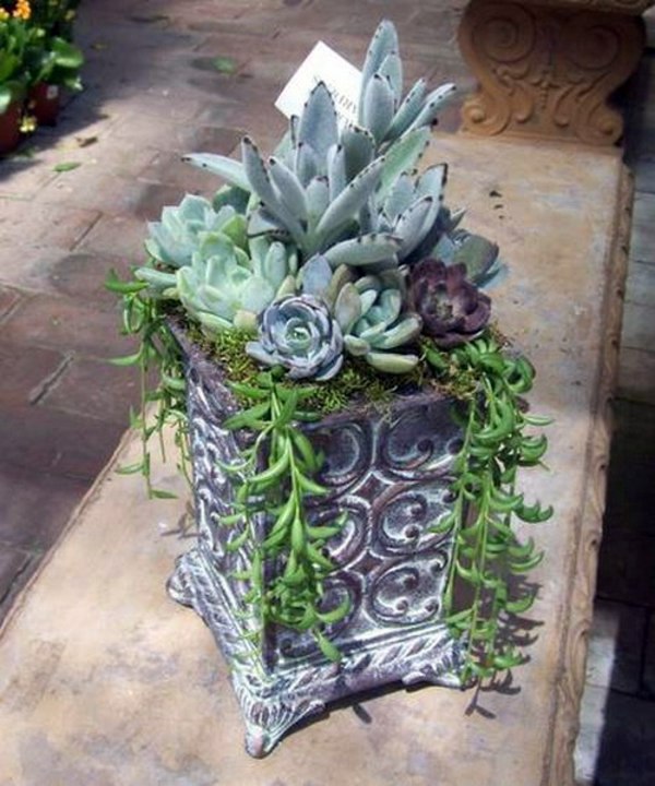 35 wonderful decoration ideas for the garden with succulents 35 wonderful decoration ideas for the garden with succulents