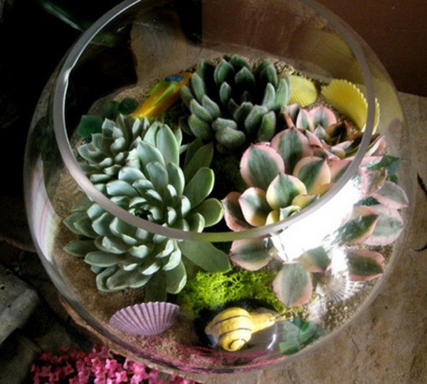 35 wonderful decoration ideas for the garden with succulents 35 wonderful decoration ideas for the garden with succulents