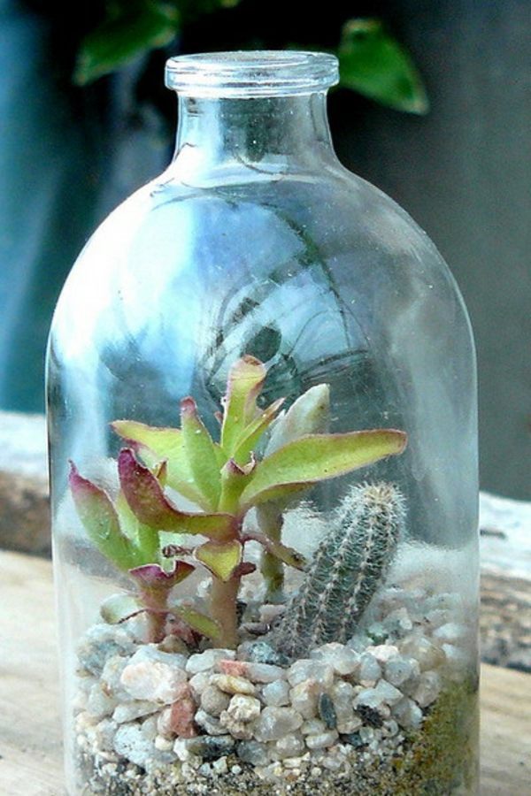 35 wonderful decoration ideas for the garden with succulents 35 wonderful decoration ideas for the garden with succulents