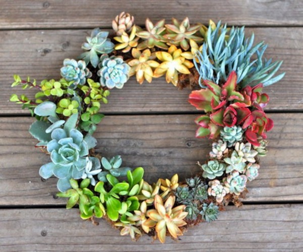 35 wonderful decoration ideas for the garden with succulents 35 wonderful decoration ideas for the garden with succulents