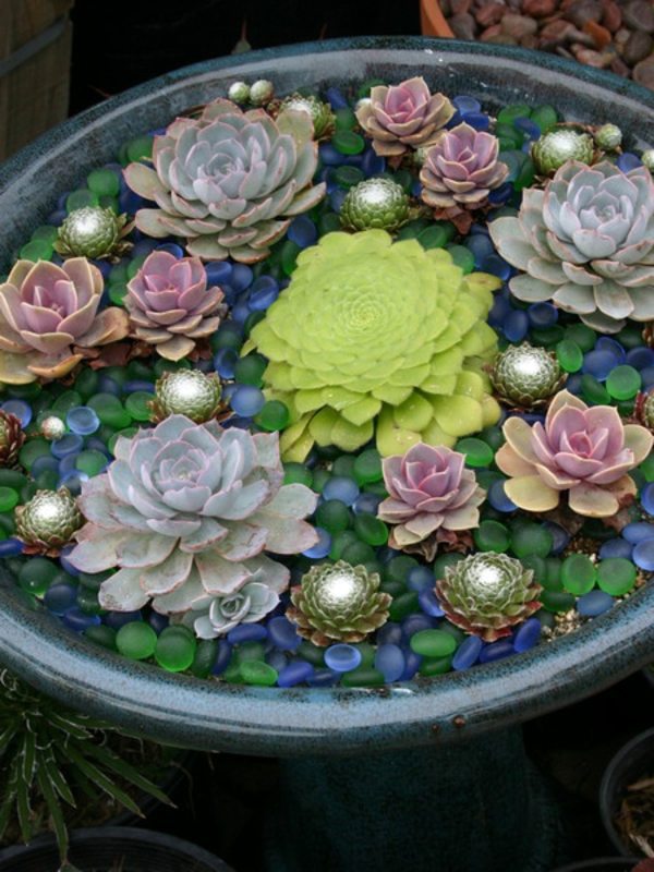 35 wonderful decoration ideas for the garden with succulents 35 wonderful decoration ideas for the garden with succulents