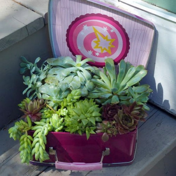 35 wonderful decoration ideas for the garden with succulents