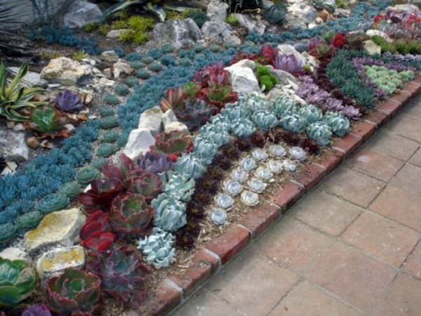 35 wonderful decoration ideas for the garden with succulents