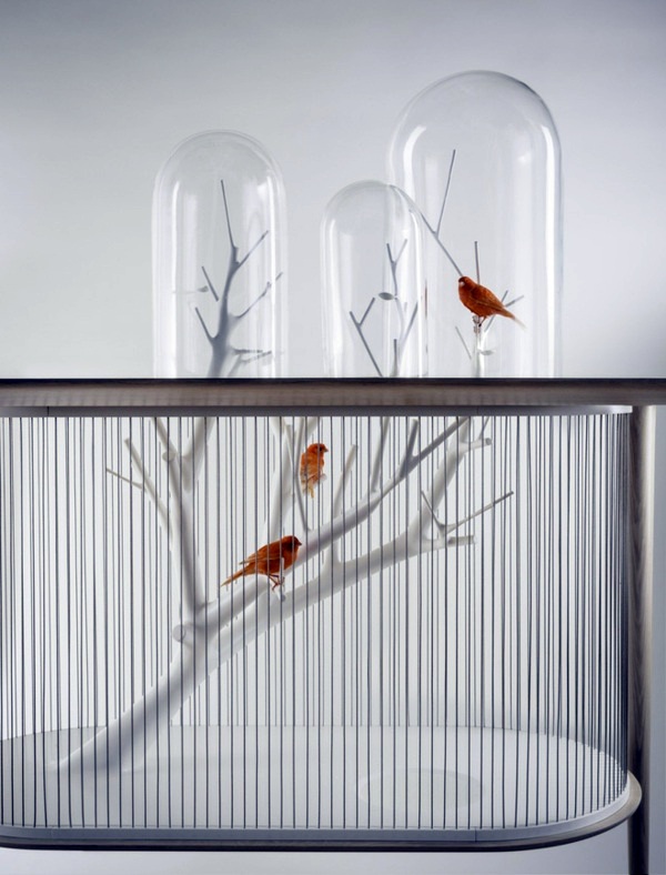 Haustiere - Bird Cage Bird of Archi Grégoire de Lafforest