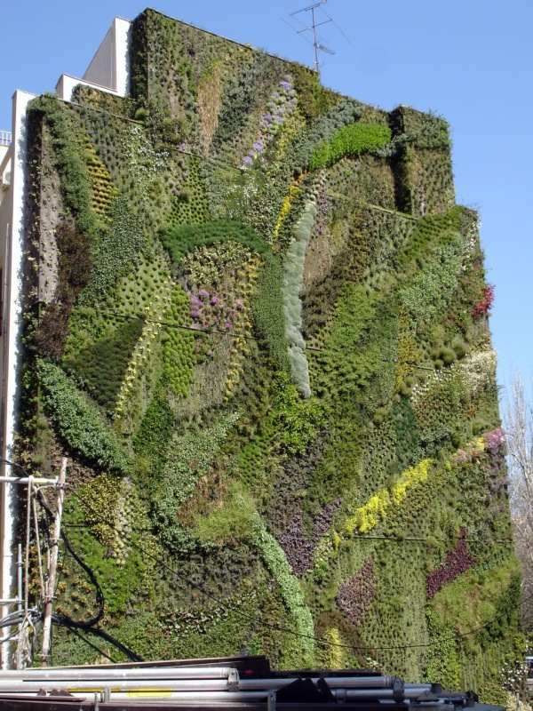30 Incredible Vertical Gardens and green walls to admire