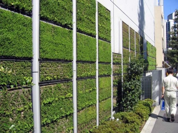 30 Incredible Vertical Gardens and green walls to admire
