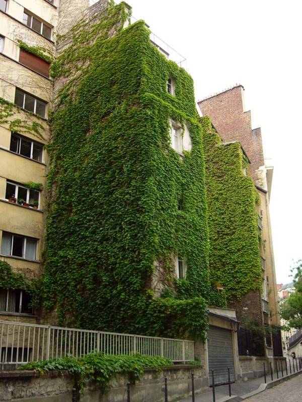 30 Incredible Vertical Gardens and green walls to admire