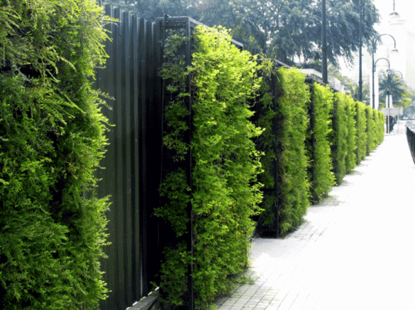 30 Incredible Vertical Gardens and green walls to admire