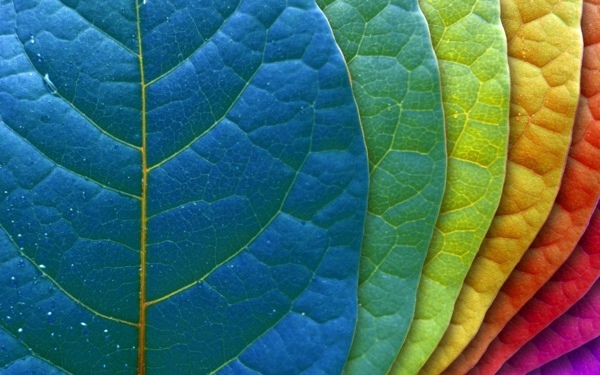 Farben - Perfect colors for your interior: 11 ways to correct color palette Farben - Perfect colors for your interior: 11 ways to correct color palette
