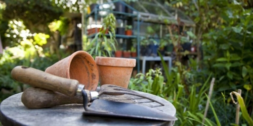 Landscaping Tricks and tips for a healthy and attractive garden