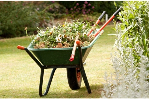 Landscaping Tricks and tips for a healthy and attractive garden