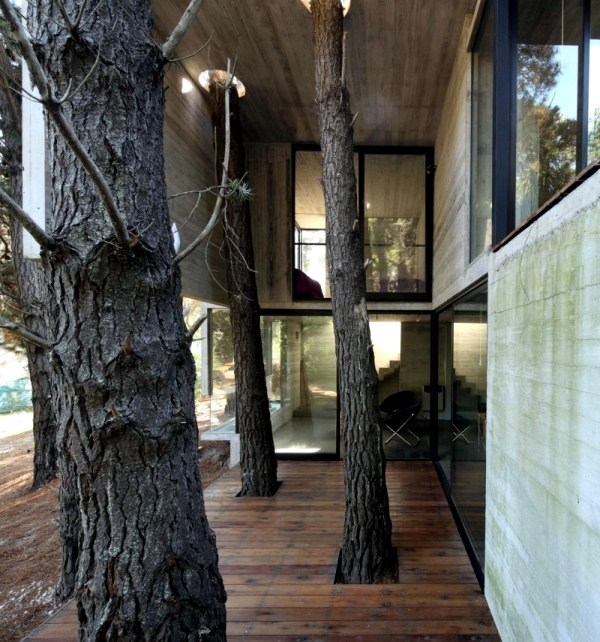 A Modern House Made of glass and wood on the coast | Interior Design