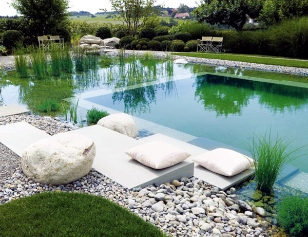 101 pictures of pool in the garden