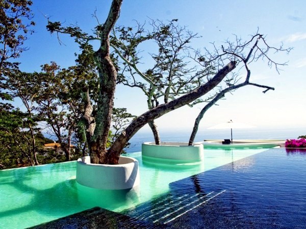 101 pictures of pool in the garden