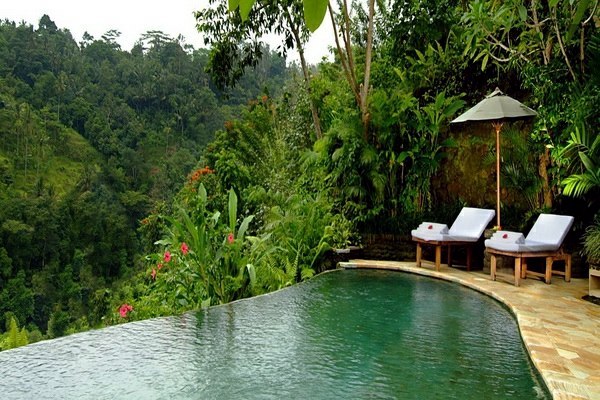 101 pictures of pool in the garden